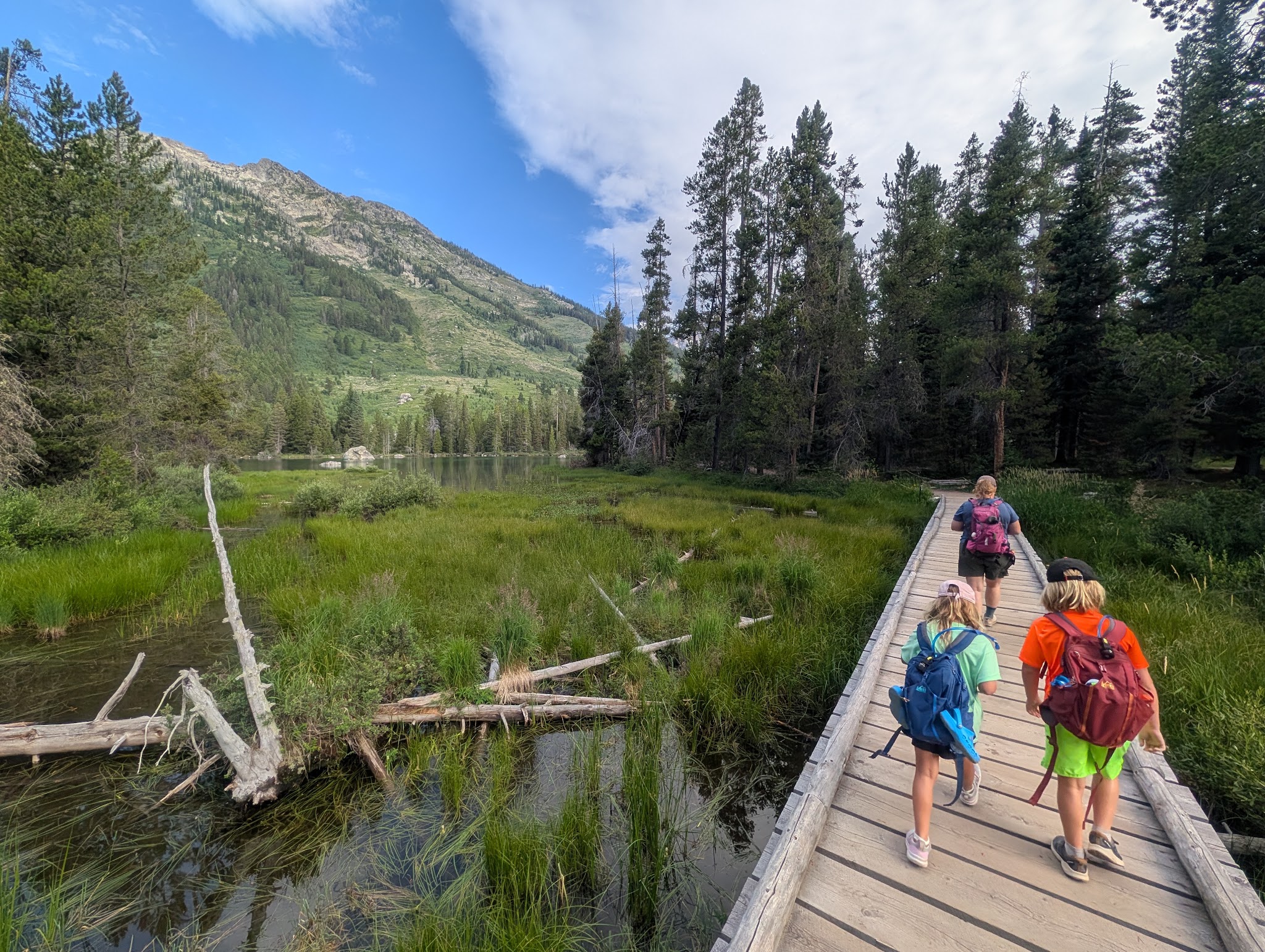 The boardwalk over the marshy inlet at the String Lake trailhead, early morning