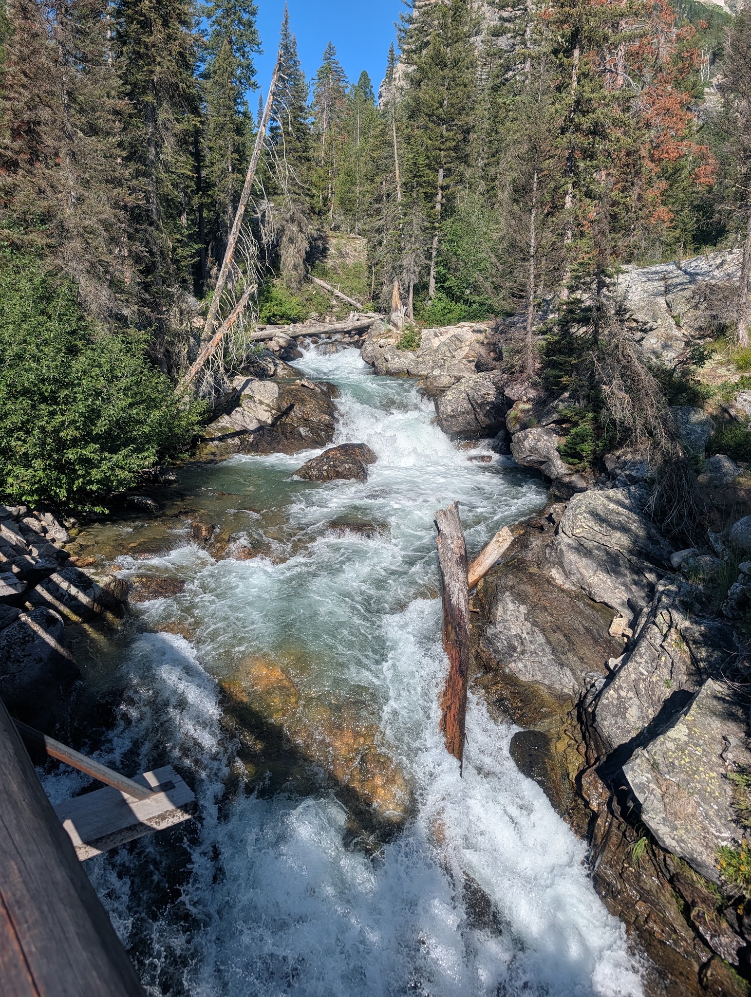 Cascade Creek below the trail footbridge